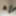 Stepdaughter 2024 Photo Album