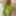 Amateur crossdresser Kellycd2022 holiday in white stockings #22