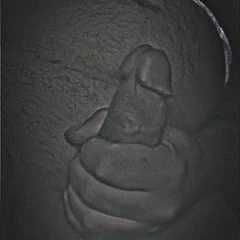 zeb2