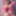 Luna | Roni | Dior Free Photos