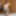 Rinka Mizuhara :: A Danfer Temptation From Wife - CARIBBEANC #4