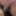 Mandatory weighing cagecheck plugcheck January 05, 2023 #5