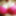Barbie&#039;s Boob