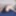 BRAZILIAN TRANSSEXUALS: First Set Of A Strong And Hot Ts #4