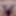 My little Flaccid Penis (without Erection) - Compilation 3