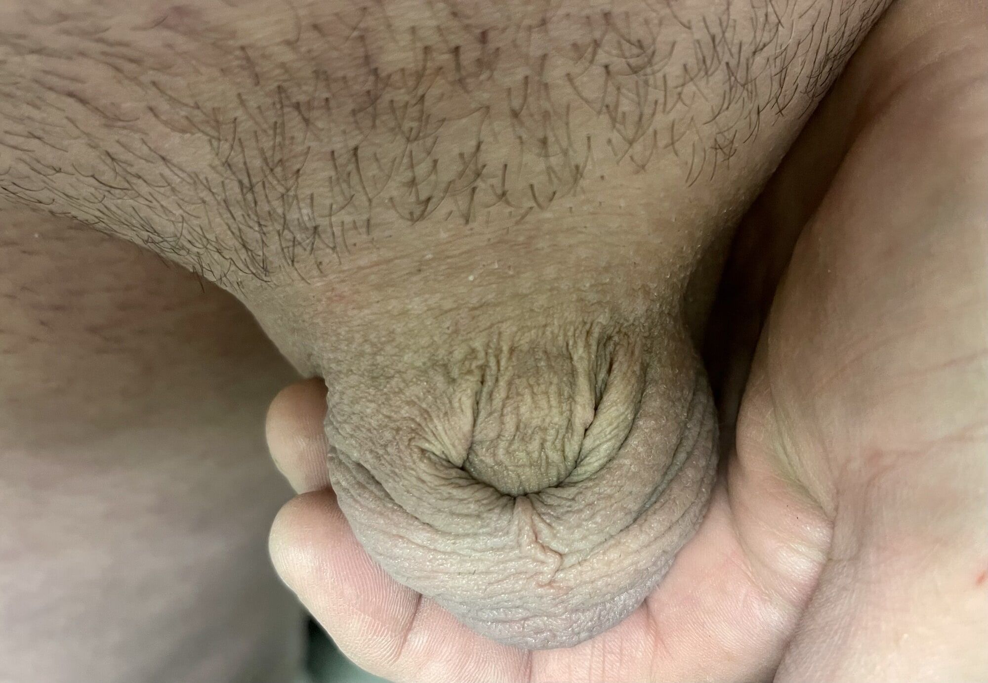 Me and my inverted cock #2