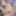 Curvy MILF Liisa blows a geek