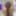 Goddess-Di Free Photos #12