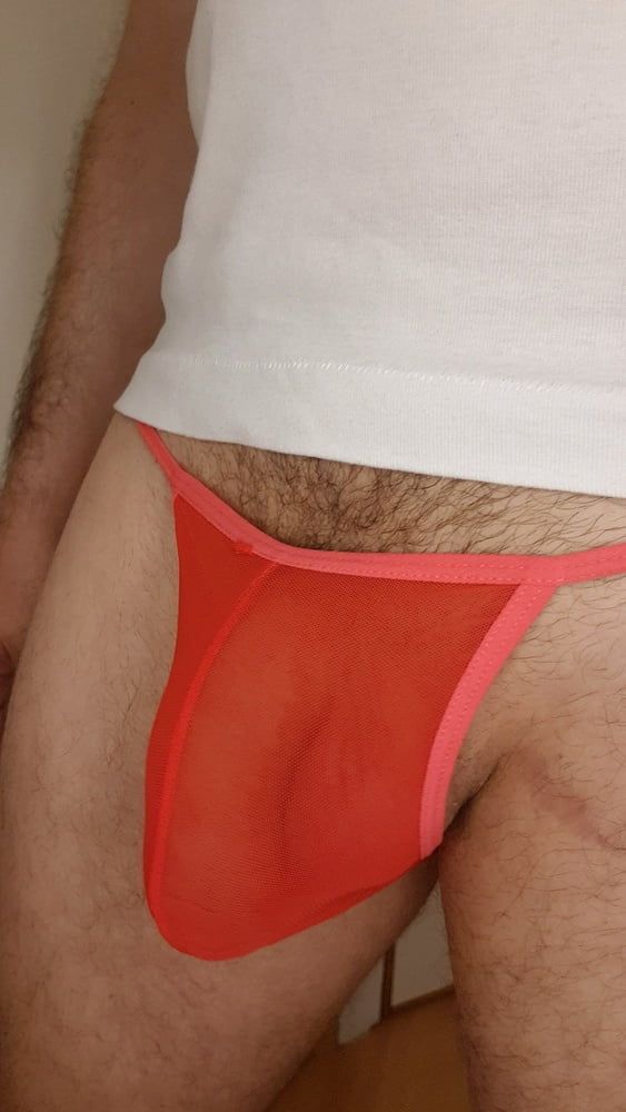 Red sheer mesh panties bulge #10