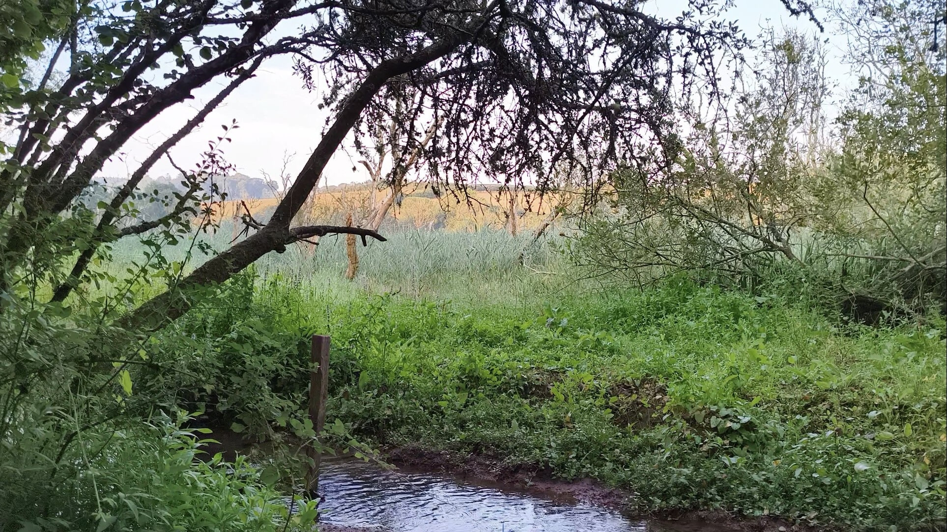 Cum By The River ♥️ #25