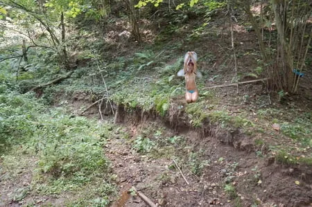 little elf in ravine         