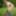 Sexy Redhead Strips Out Of jeans In Forest