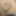 Inverted micro penis tiny dick pre cum