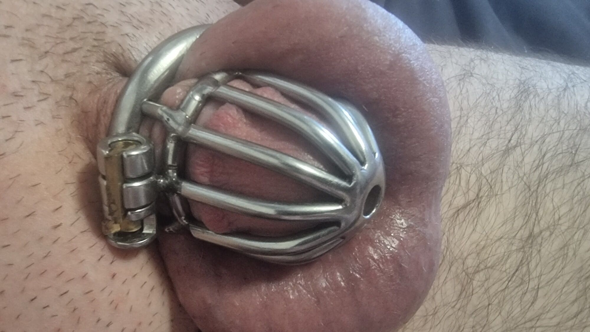 Mr Chonk in his Metal Cock Cage, Chastity Cage #5