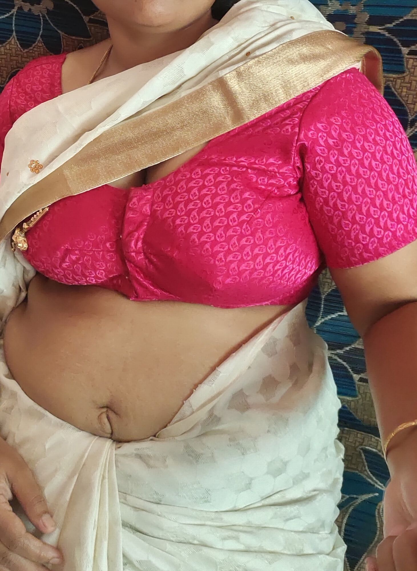 Desi bhabhi visaakaa saree blouse sex pics