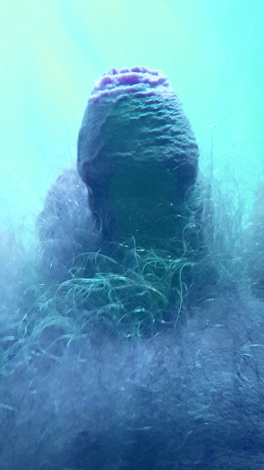 Underwater in the pool #7