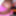 4k 60fps I Can&#039;t Fit Step Dad Girthy Big Cock Into My Pussy  #22