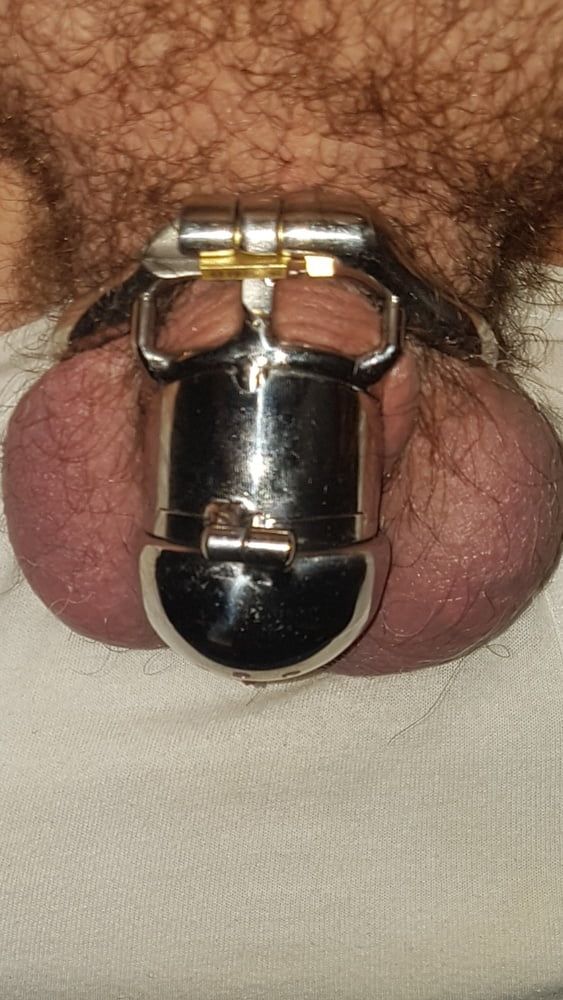 Chastity cage #59