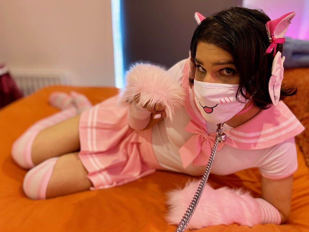 Pink Seifuku Catgirl #9