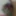 Sari içinde güzel seksi fotoğraflar 