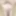 June 22, 2024. Daily duty of the naked slave