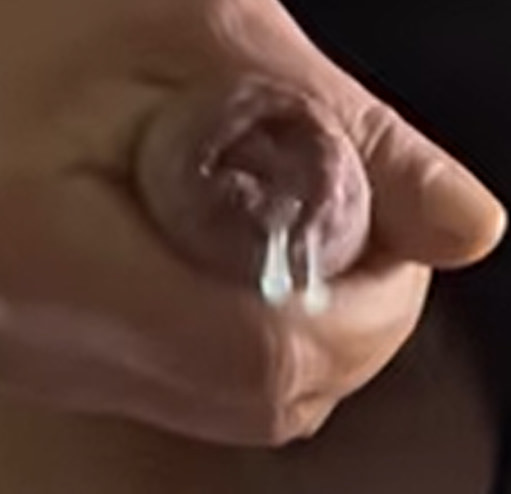 Shots #28