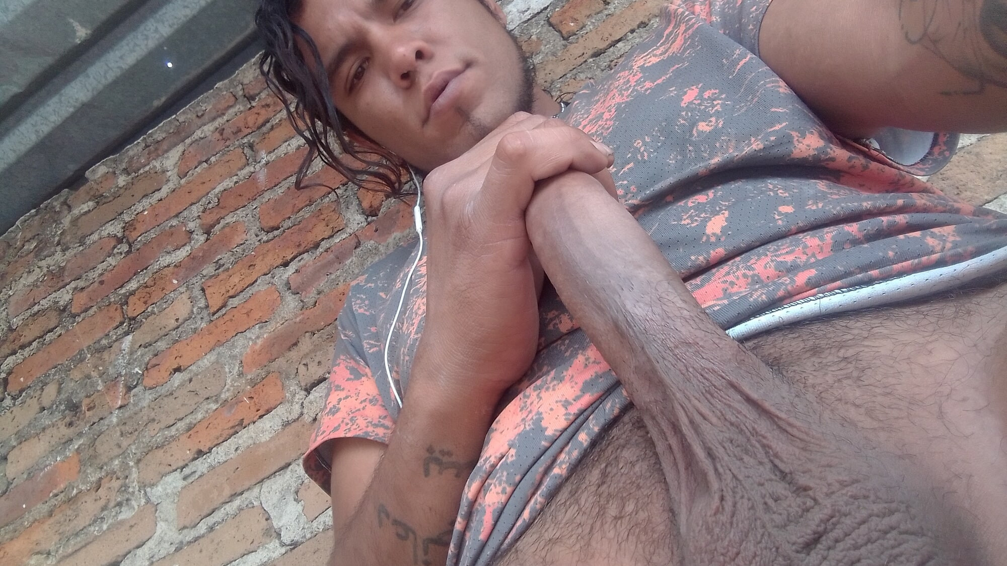 Erecto 