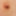 Gland #5