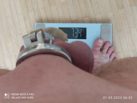 mandatory weighing and cagecheck of 01.05.2023