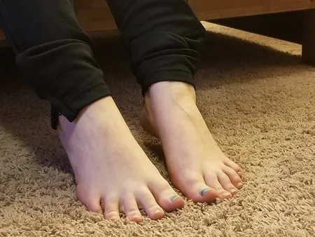 alicias winter soles           