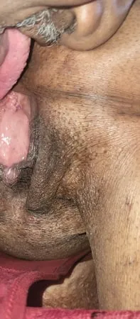 licking pussy ass and panty         