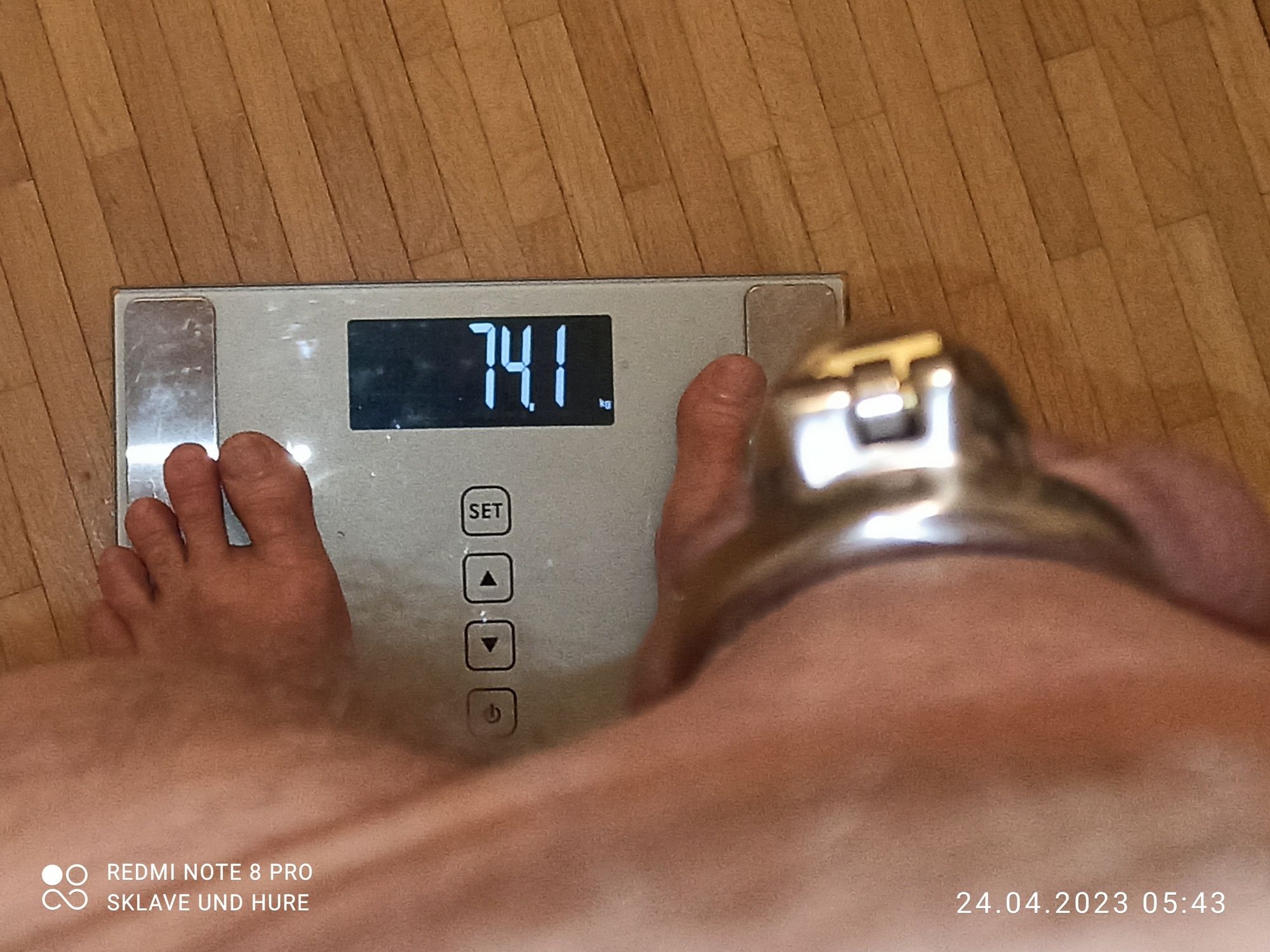 mandatory weighing and cagecheck of April 24, 2023 #12