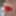 Big penis and balls in a little boat on a holiday lake #18