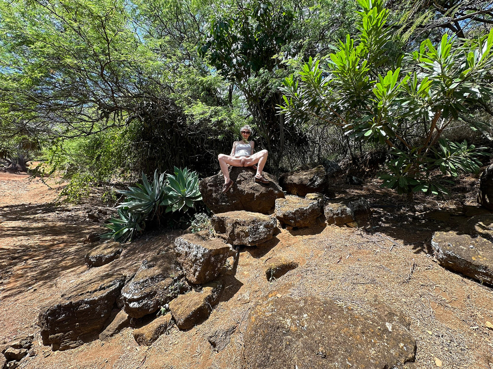 Photos from Hawaii  #40