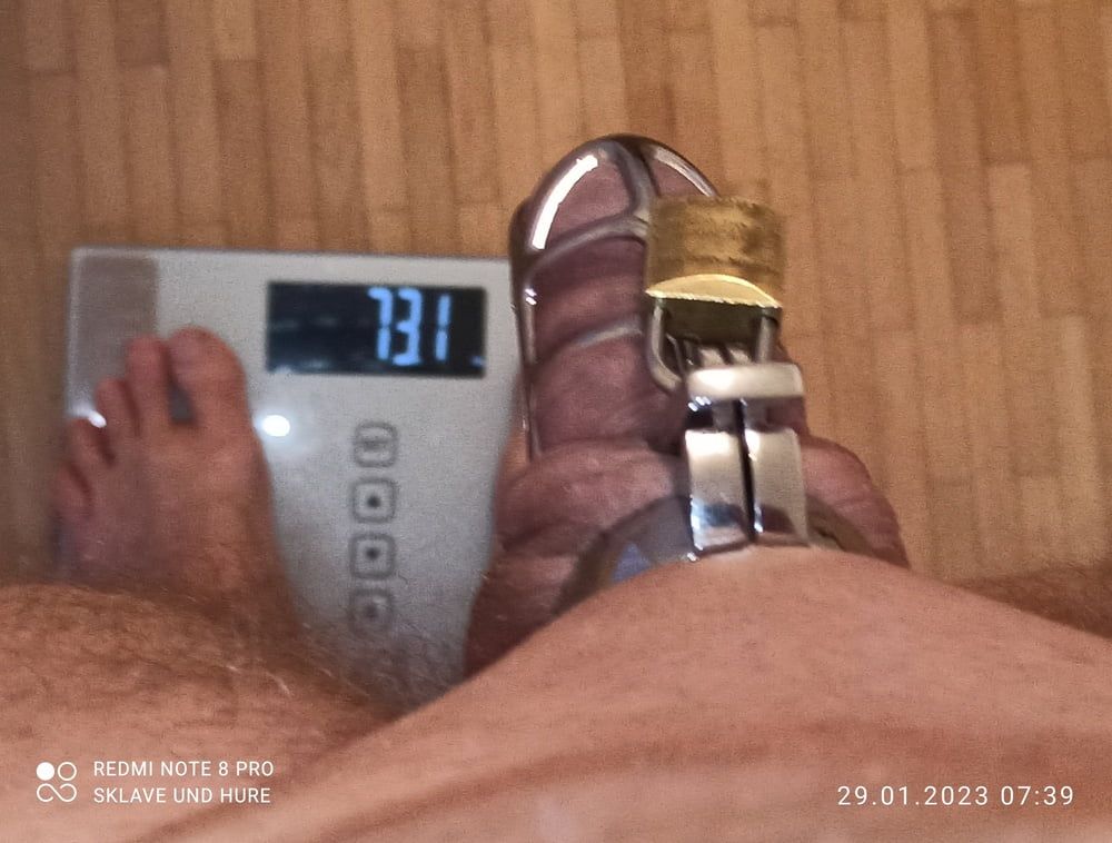 Naked weighing with cockcage and clamps  #2