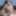 Busted Teen Roommate Fucks Couple