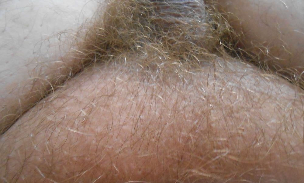 my tiny hairy dick before shaving #3