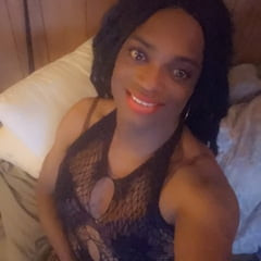 Nitra⭐ Free Photos