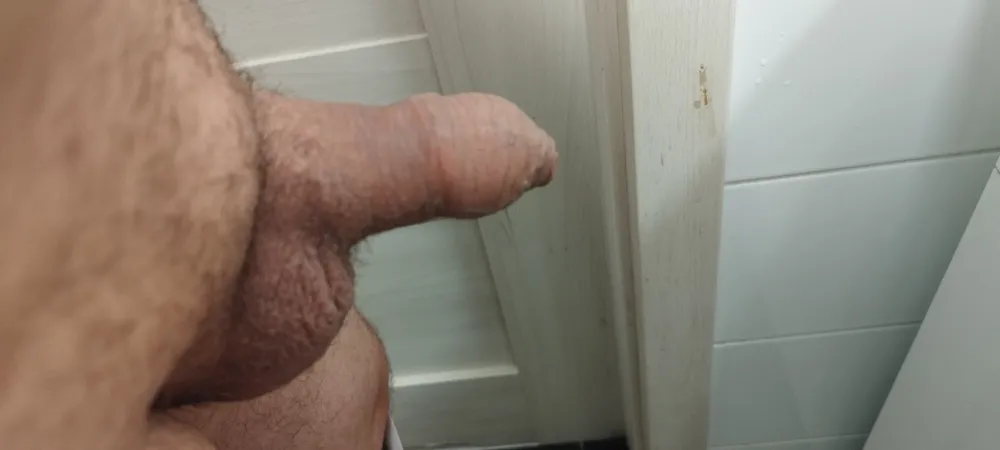 Penis