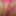 Pink Lady