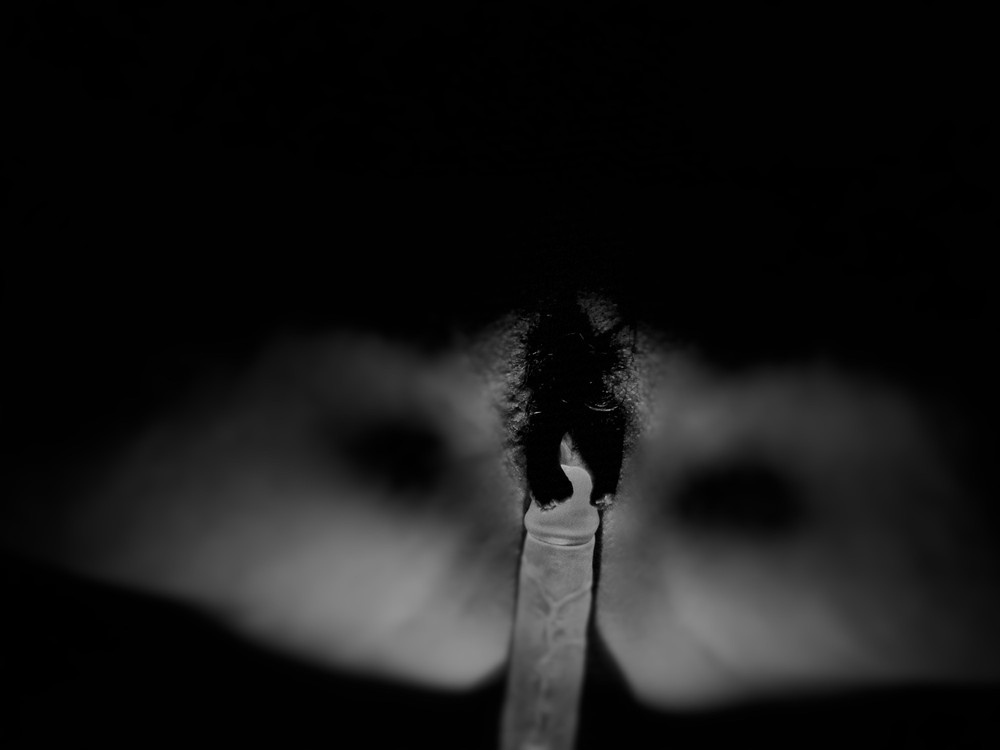 The Soft Collapse  #6