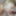 Blonde coed Lily Anna sucking dick
