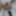 Lizzy Yum VR&amp;SD gallery MAY 2023 JUST ME #1 post op orgasm #3