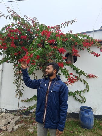 نسيم مدونة فيديو 