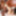 BLACK-TGIRLS:ウィンターの物語