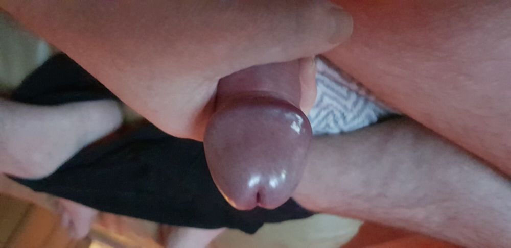 my pictures of my nice little cock #16