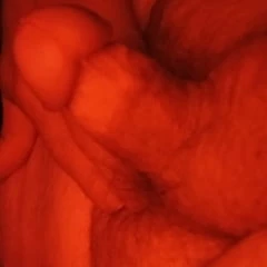 Big Dick Energy