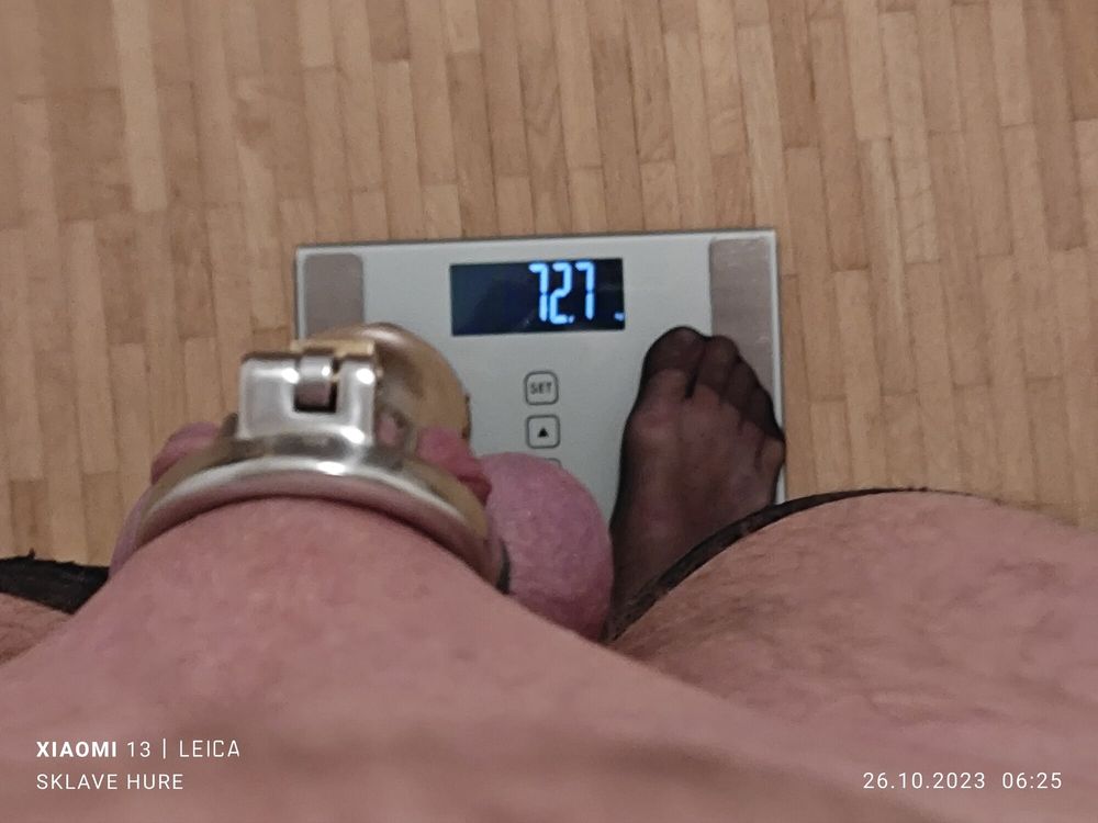 Mandatory weighing cagecheck plugcheck Oktober 26, 2023 #30