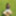 Mini skirt in the forest and nothing underneath #2