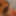 Ücretsiz BUG Fotoğrafları